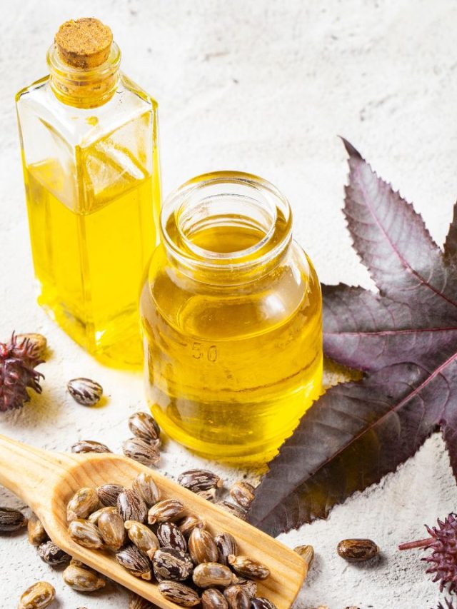 9 Health Benefits And Uses Of Castor Oil - Tradeindia