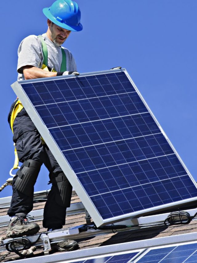 10 Best Solar Panel Manufacturers In India Tradeindia