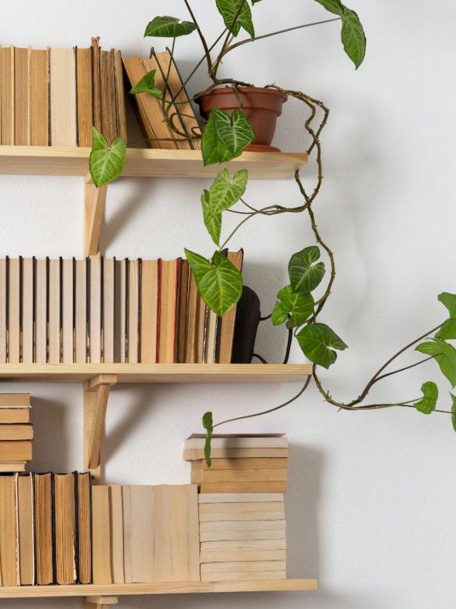 7 Best Bookshelves For Home Library - Tradeindia