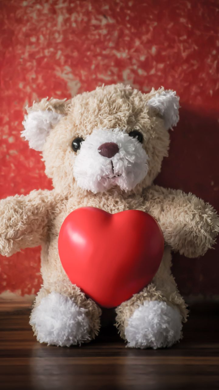 White teddy bears holding a heart shaped on dark wood floors. 17465460  Stock Photo at Vecteezy